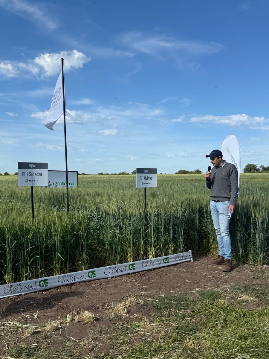 Semillas Cardinal tweet media