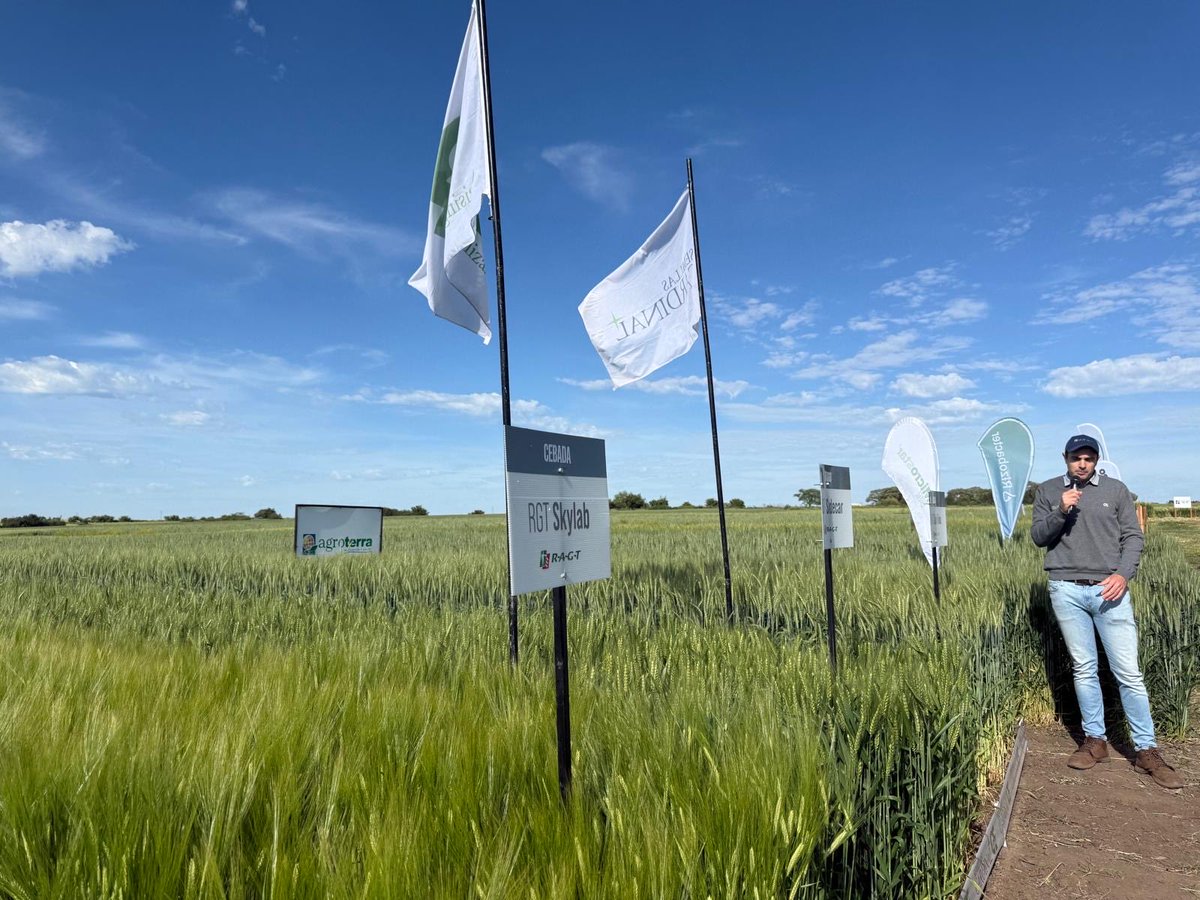 Semillas Cardinal tweet media