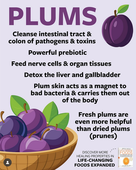 Plum  trees have a tap root that digs deep into the earth and seeks out  minerals, even if clays are present down deep in the soil. The plum  tree’s taproot looks for depths, specifically for minerals that are not  common in surface soils.

instagram.com/p/DP_t47DDRMf/… @medicalmedium