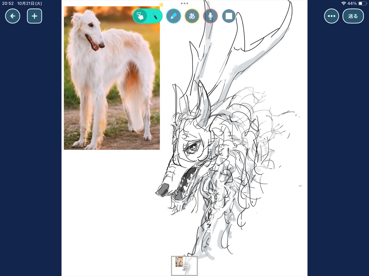 落書き犬ドラゴン
なんかケモナーみたいだ