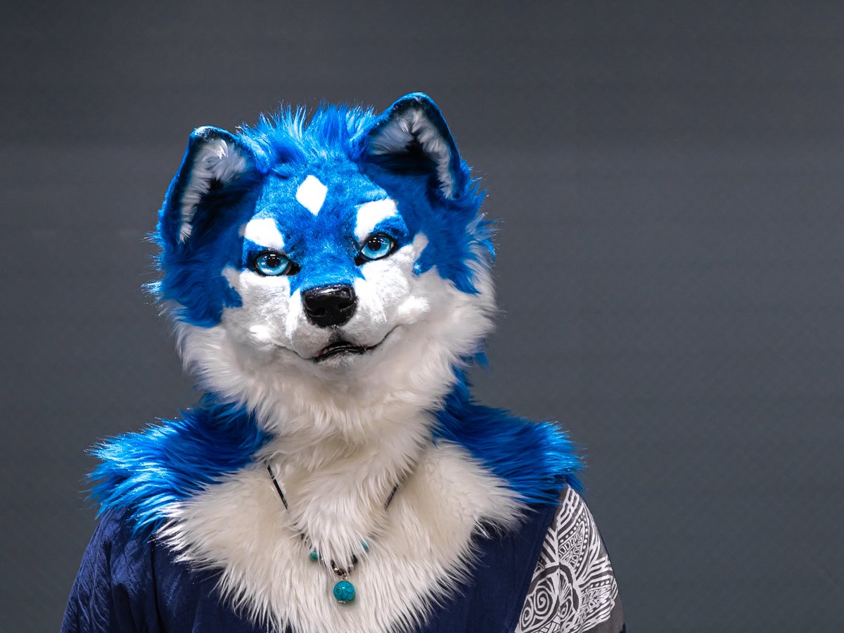 いつみてもイケケモさんだわ🐾

#HALFURF