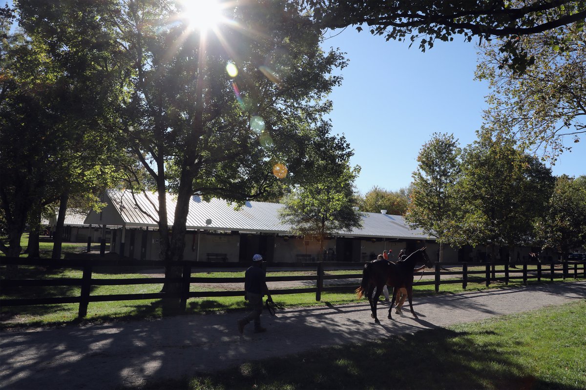 Fasig-Tipton tweet media