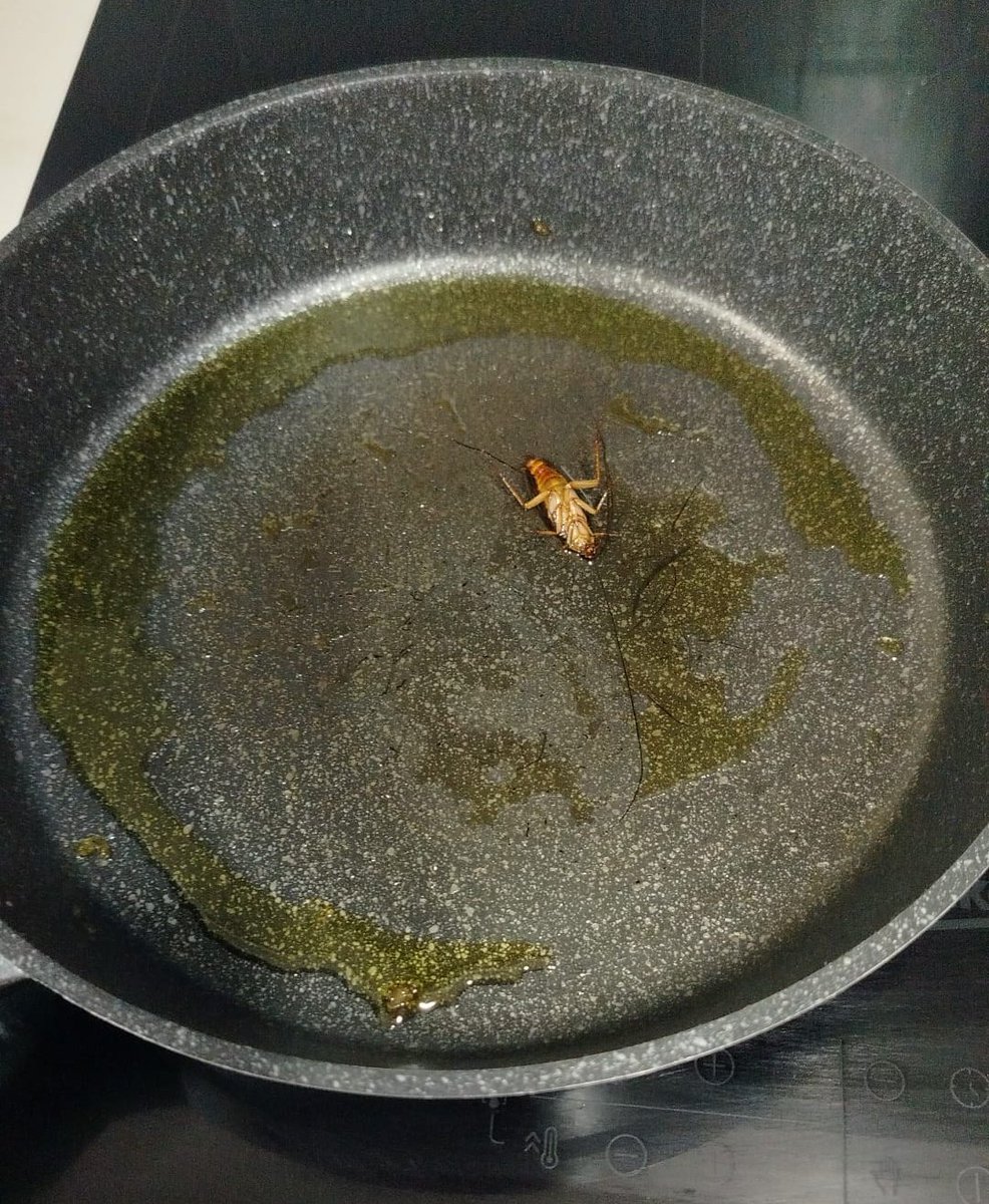 matriarca💢 tweet media