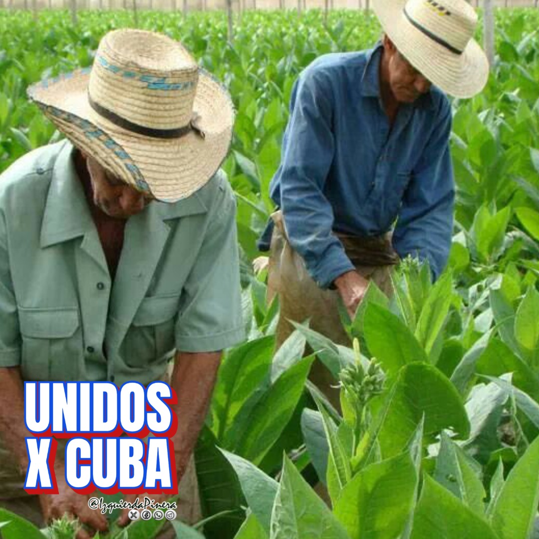 centroriesgoij's tweet image. #PoderPopular
#CubaEstáFirme 
#SentirPinero