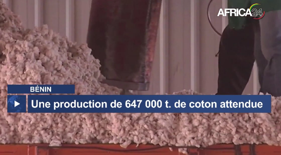 Au 🇧🇯#Bénin, la campagne de commercialisation du coton graine 2025-2026 a été lancée le 17 octobre à N’dali, en présence de l’ensemble des acteurs de la filière. Selon les estimations, une production de 647 000 tonnes est attendue pour cette nouvelle campagne, soit une légère