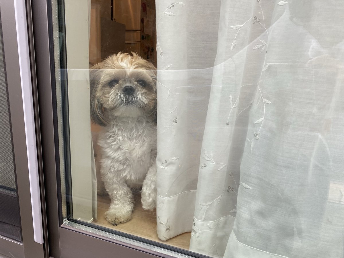 しーしーとらんらんのお家 on X