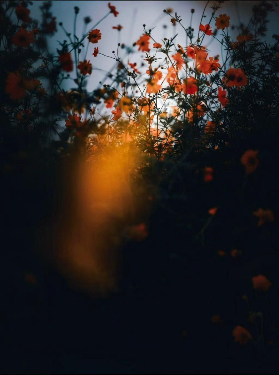 Love life (@zqyjbjfqj6ocagd) on Twitter photo 