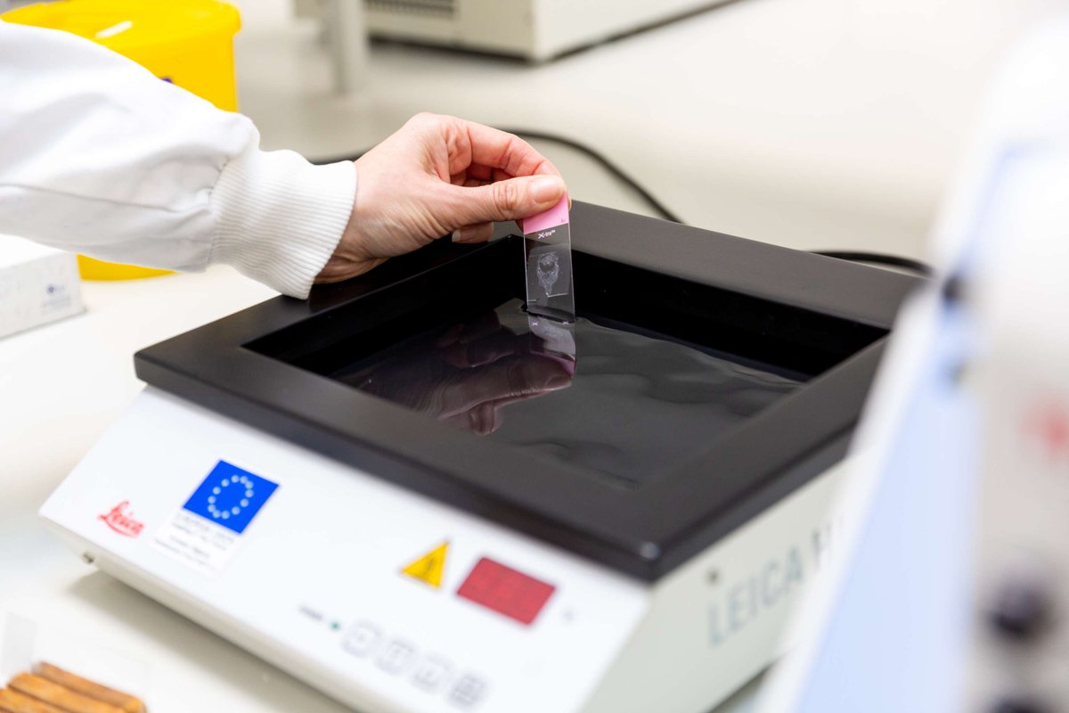 RCPath's tweet photo. The latest version of the best practice recommendation on ‘The retention and storage of pathological records and specimens’ (G031) has now been published. Find it here: https://t.co/u3UKdqfmfk #RCPathBPR #CellPath https://t.co/Y8MOS6XFtP
