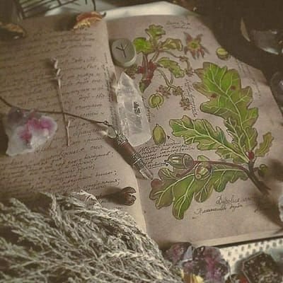 doblvstarkey's tweet image. Hi! I'm javs, looking for #booktwt moots📖
➳ she, 26
➳ love mystery, romance and witchy fantasy
➳ adore margaret rogerson, the darkest minds, sarcastic pjs and built up tension
➳ love watching series and talk about them, knitting & crochet
♡/↻ if you wanna be moots ౨ৎ