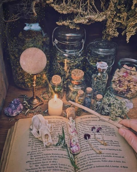 doblvstarkey's tweet image. Hi! I'm javs, looking for #booktwt moots📖
➳ she, 26
➳ love mystery, romance and witchy fantasy
➳ adore margaret rogerson, the darkest minds, sarcastic pjs and built up tension
➳ love watching series and talk about them, knitting & crochet
♡/↻ if you wanna be moots ౨ৎ