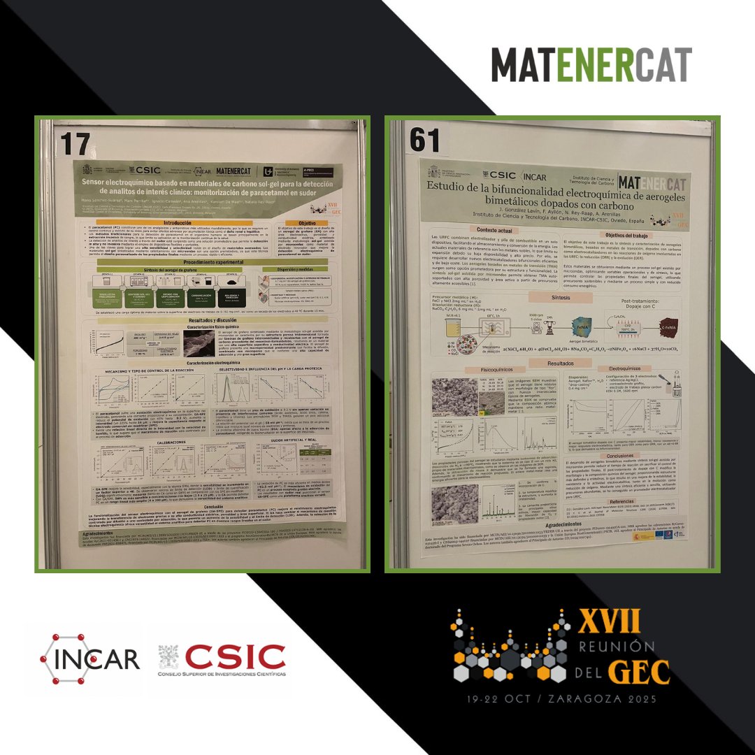 matenercat's tweet image. Judith González and Mario Suárez also presented 2 posters today at 17th GEC Meeting, with latest results of the innovative materials developed in their PhDs: C-Fe-Ni aerogels for bifunctional electrocatalysts and C-material for the effective detection of paracetamol in sweat.