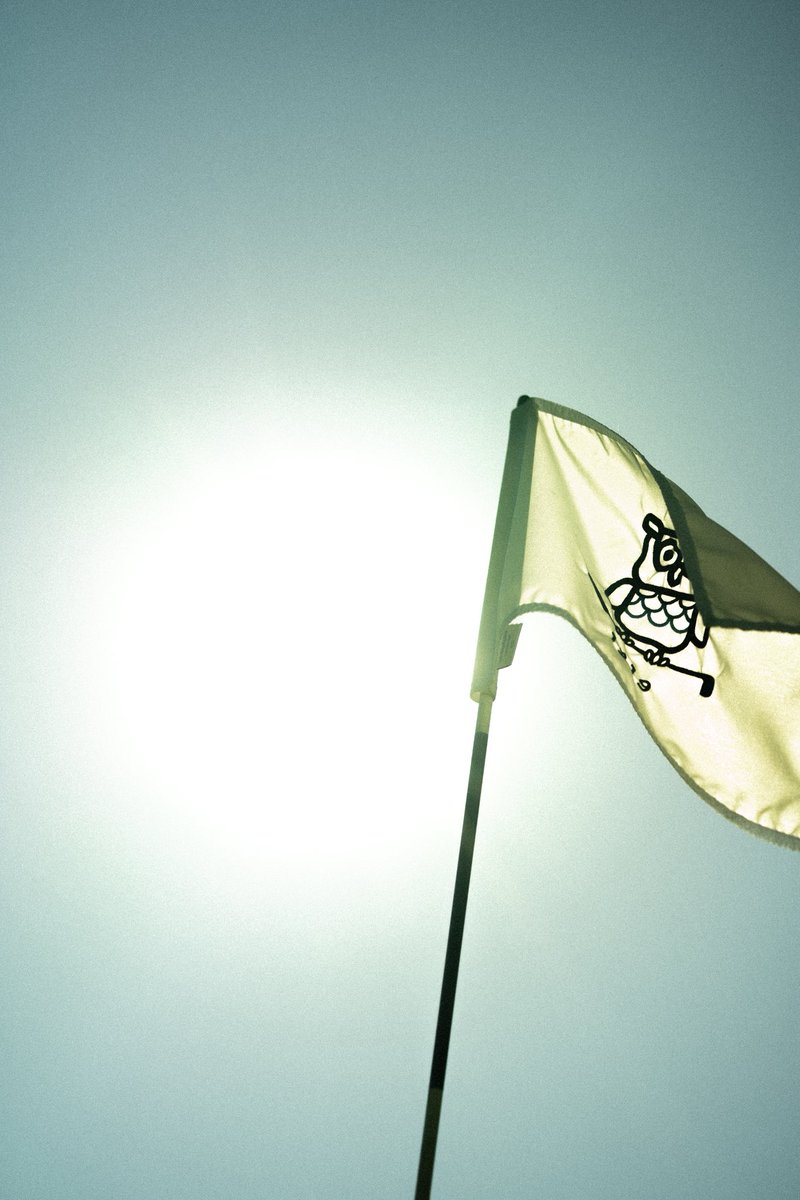 Roger Steele tweet media