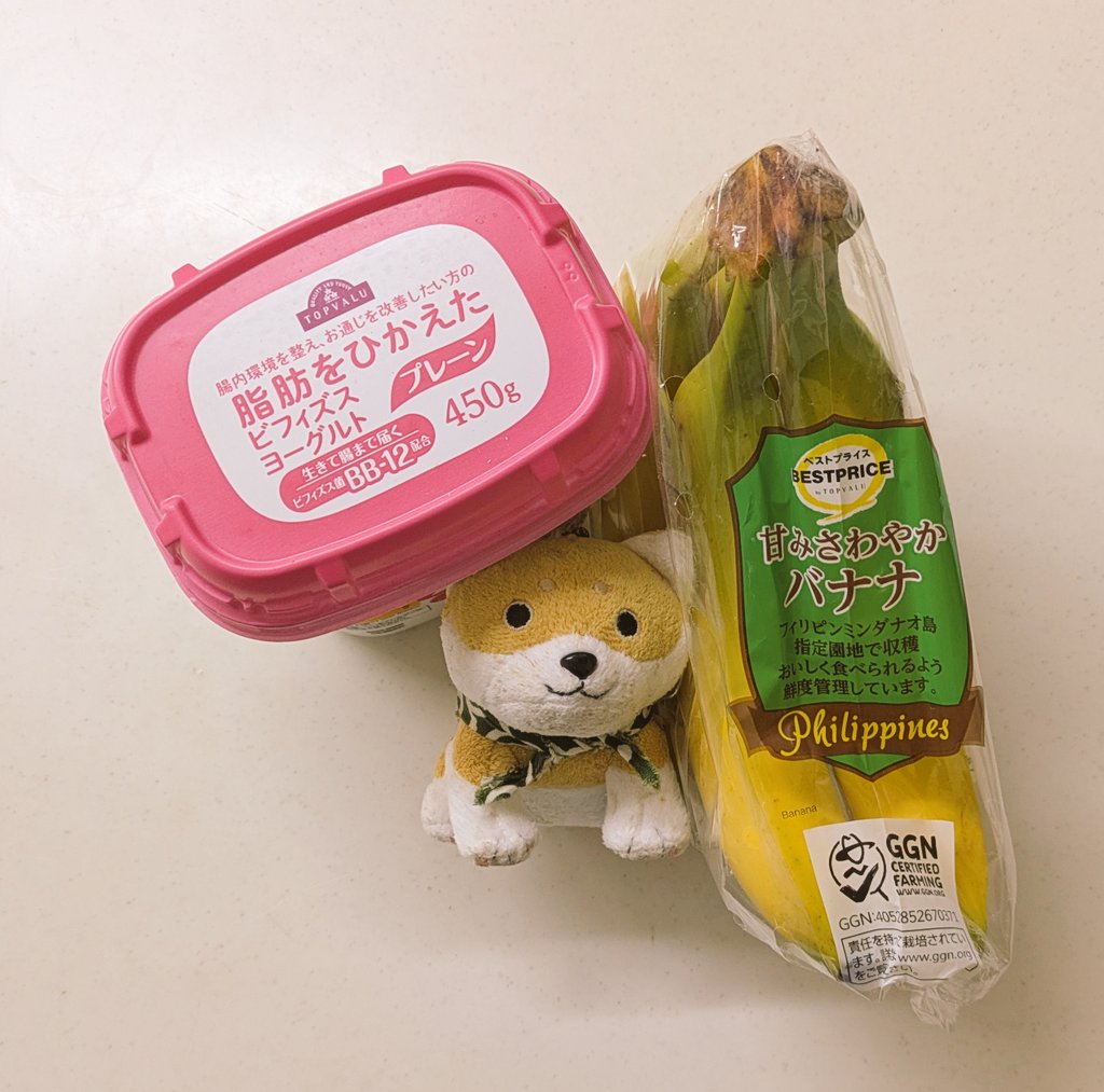 柴犬🐾まめちゃん❤️ on X