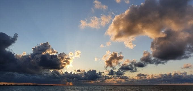 Havenlust's tweet image. A, B, C or D?