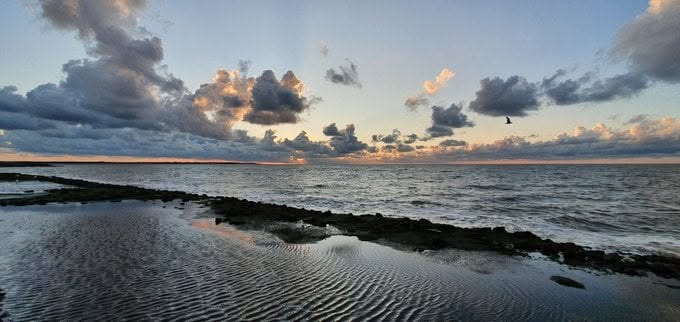 Havenlust's tweet image. A, B, C or D?