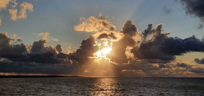 Havenlust's tweet image. A, B, C or D?