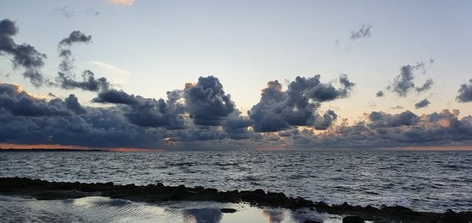 Havenlust's tweet image. A, B, C or D?