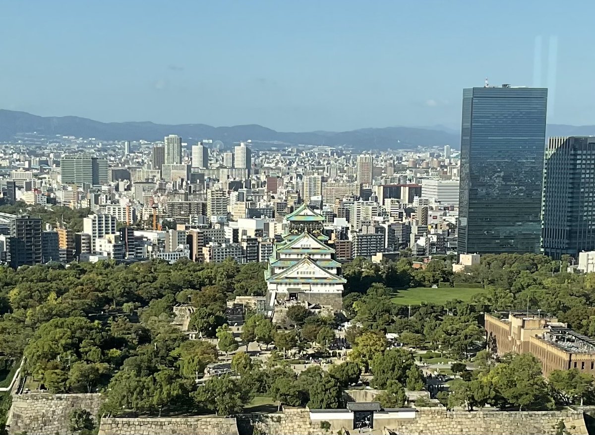 HOLLY'S GOLF MARKET トラクブルゾン ホリーズゴルフマーケット