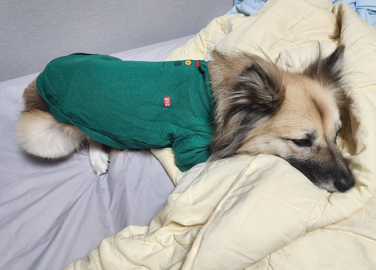 무지개 단추 뽀인뚜