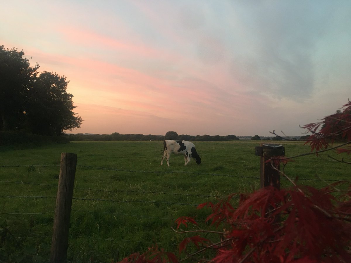 <a href="/PaulMer53/">PAUL WALES PARADISE CITY🌹GUNS N ROSES 🌹</a> Morning Paul ❤️💕
A view across the ocean…beautiful ❤️💕
I have fields…not quite the same as the ocean but still offers that peace &amp; tranquillity throughout the seasons that we benefit from.