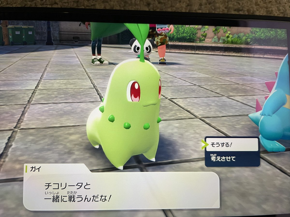 ようやく冒険をスタートしました