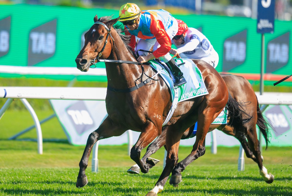 HKJC_Racing's tweet image. Racing To Win: Hear from @zpurton after Ka Ying Rising touched down back in Hong Kong, plus there&apos;s a preview of racing at Happy Valley on Wednesday night. #HappyWednesday #HKracing 

📺 tinyurl.com/4neaz2w5