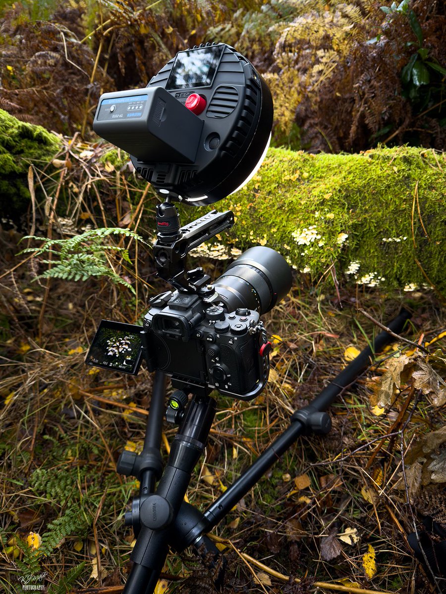 I love the Benbo trekker tripod :D <a href="/PatersonPhoto/">PatersonPhotographic</a> Lighting by <a href="/Rotolight/">Rotolight</a>  Camera cage by <a href="/SmallRigGlobal/">SmallRig</a> Battery by <a href="/neewerofficial/">Neewer®</a> Camera Sony A7rV by <a href="/SonyAlpha/">Sony | Alpha</a>