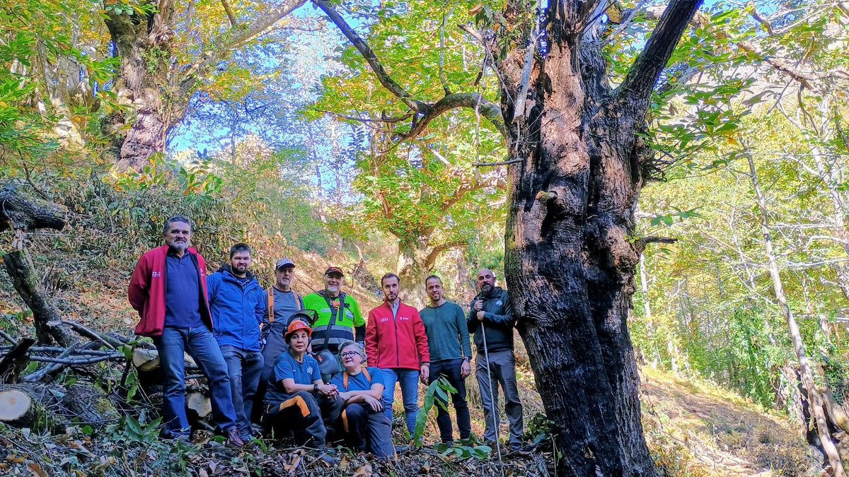 ⛰ El director general de Custodia del Territorio, David Villar, acompañado por el alcalde de Teverga, Adrián Gayo, y el director de la <a href="/fundacionosoast/">FundaciónOsoAsturias</a>, ha visitado la localidad de Vil.lanueva donde se están procediendo a la recuperación de bosques mixtos atlánticos.