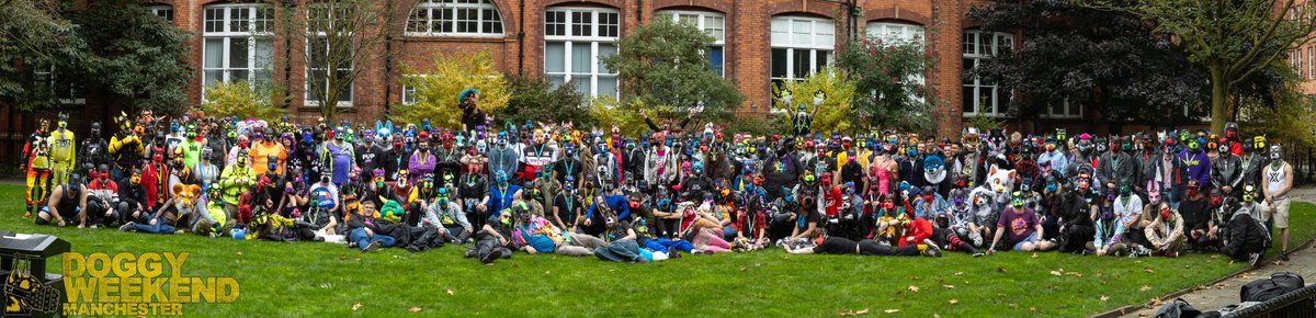 DoggyWeekend tweet media