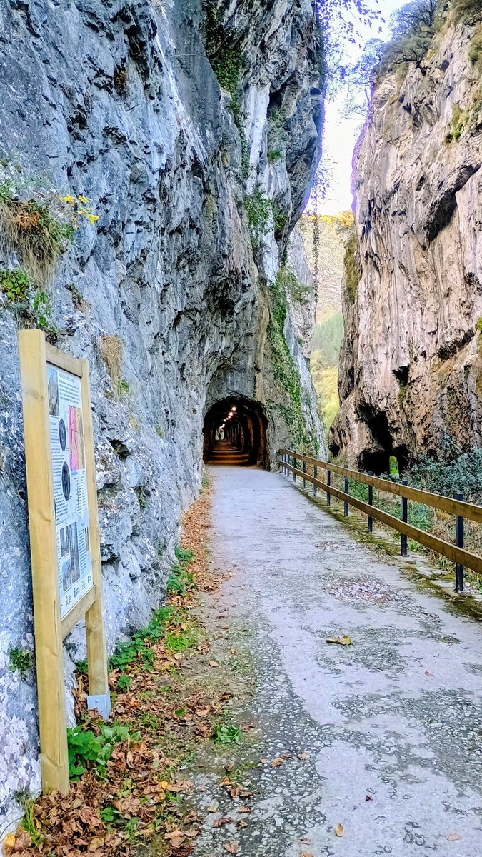 🏞️ El director general de Custodia del Territorio, David Villar, acompañado por el alcalde de Proaza y el director de la <a href="/fundacionosoast/">FundaciónOsoAsturias</a> ha presentado un nuevo panel divulgativo en la Senda del Oso, dedicado al Desfiladero de Peñas Juntas.