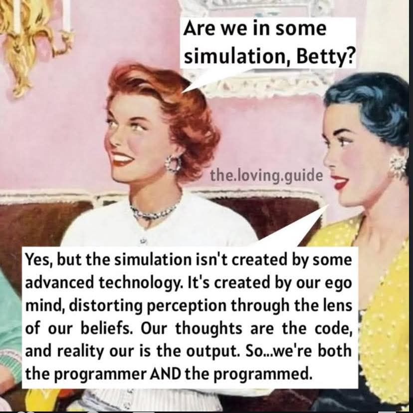 EdmondHWollmann's tweet image. There is no &quot;Matrix&quot; or #simulation other than your definitions.