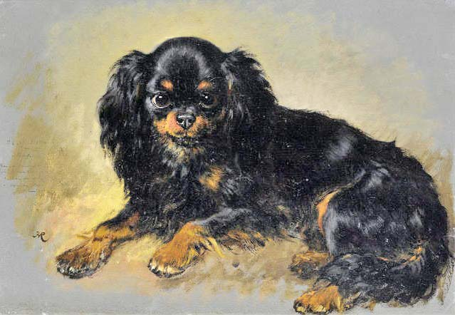 CAVALIERS IN ART: “A King Charles spaniel”, by Henriette Ronner-Knip (Dutch, 1821-1909).
cavalierhealth #cavaliersinart #thedoginart