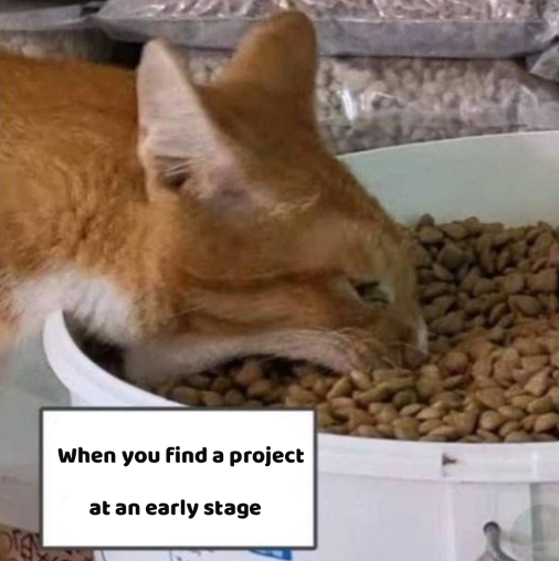 Iam_Crypto1's tweet image. I’ve put together a thread of early-stage projects
I’ve talked about before, don’t forget to keep an eye on them and stay active