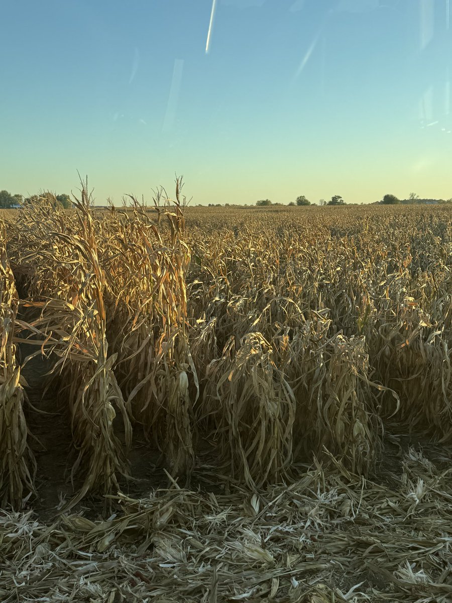 kelli chalfant tweet media