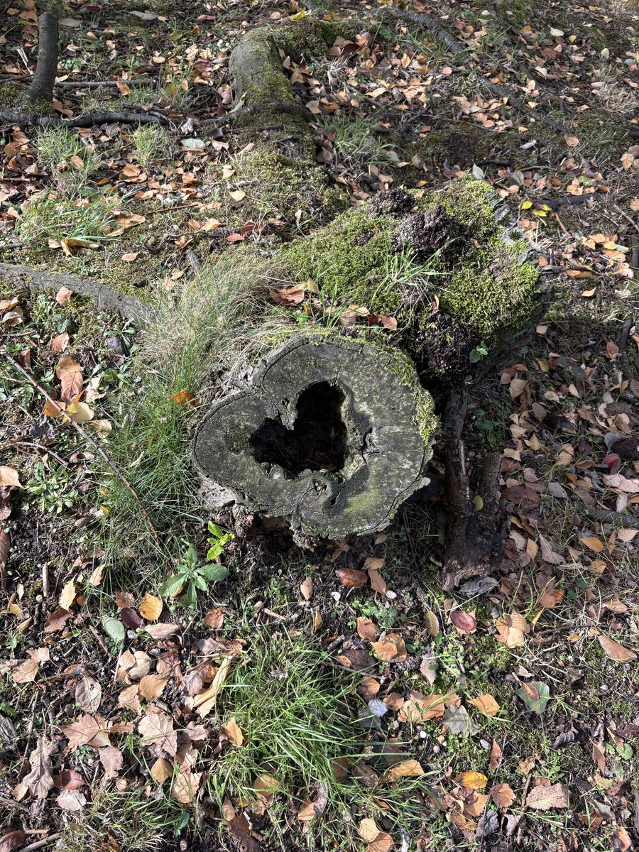 Beğenenlerin istediği şeyler Kasım’da onları bulsun 🫶🏼