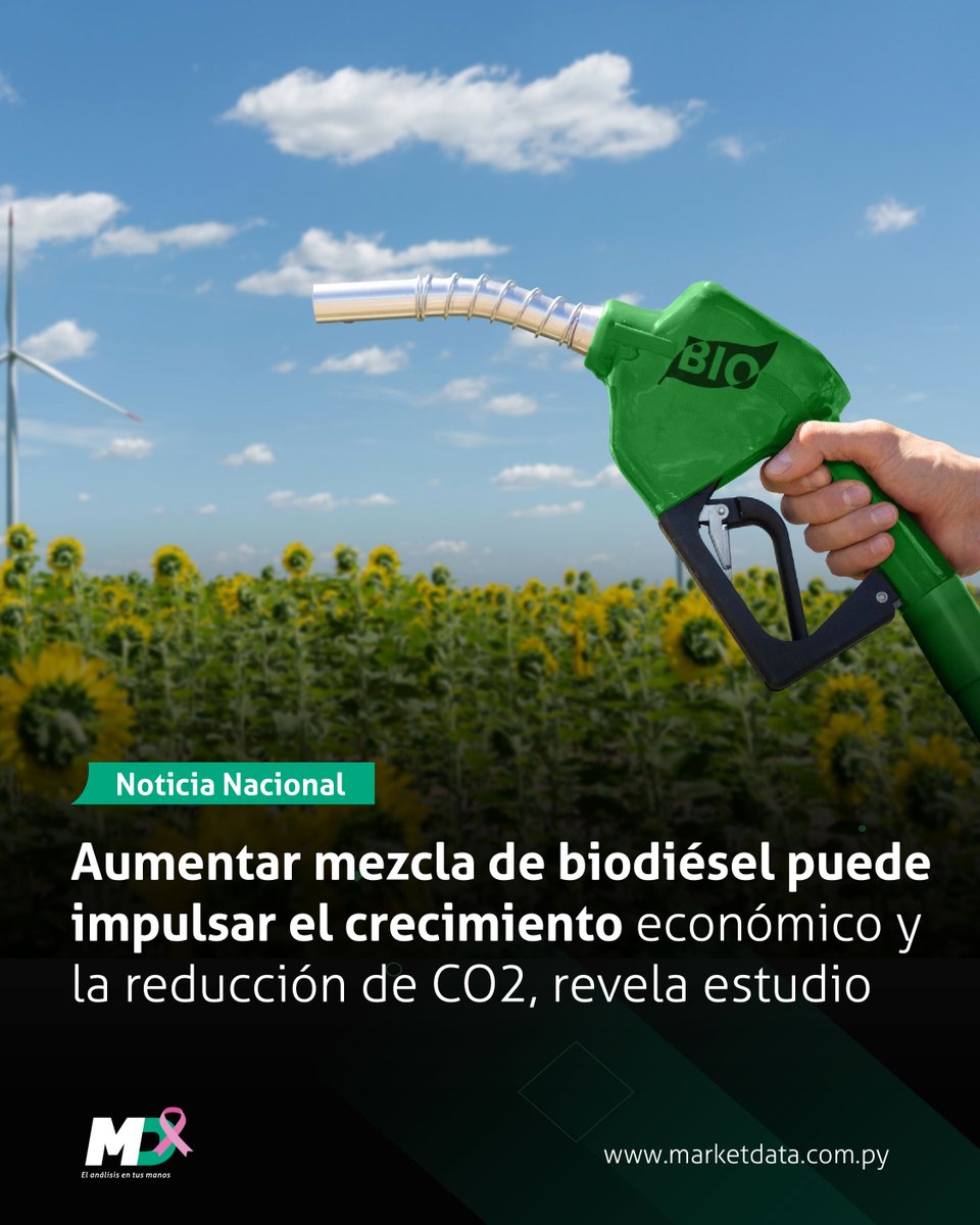 marketdata_py's tweet image. 🇵🇾⛽ Un estudio elaborado por la UIP y BIOCAP sostiene que incrementar gradualmente la mezcla de biodiésel permitiría aprovechar el potencial productivo y sostenible del país.
📍 Leé más en n9.cl/0lqvg