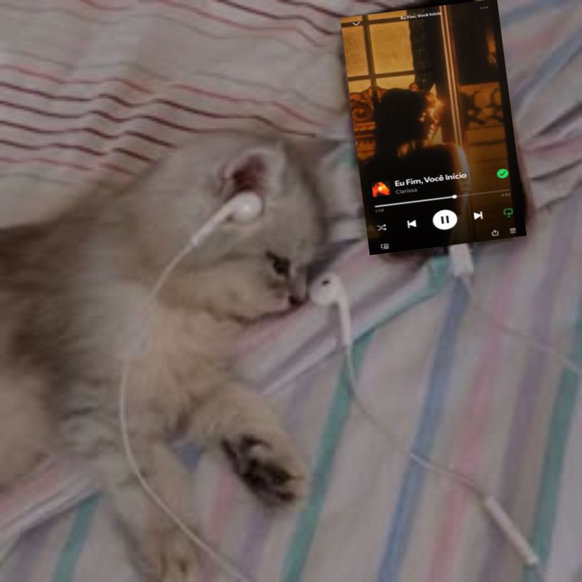 oocclapi's tweet image. Acordamos assim hoje