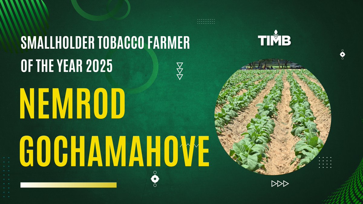 Tobacco Industry & Marketing Board tweet media