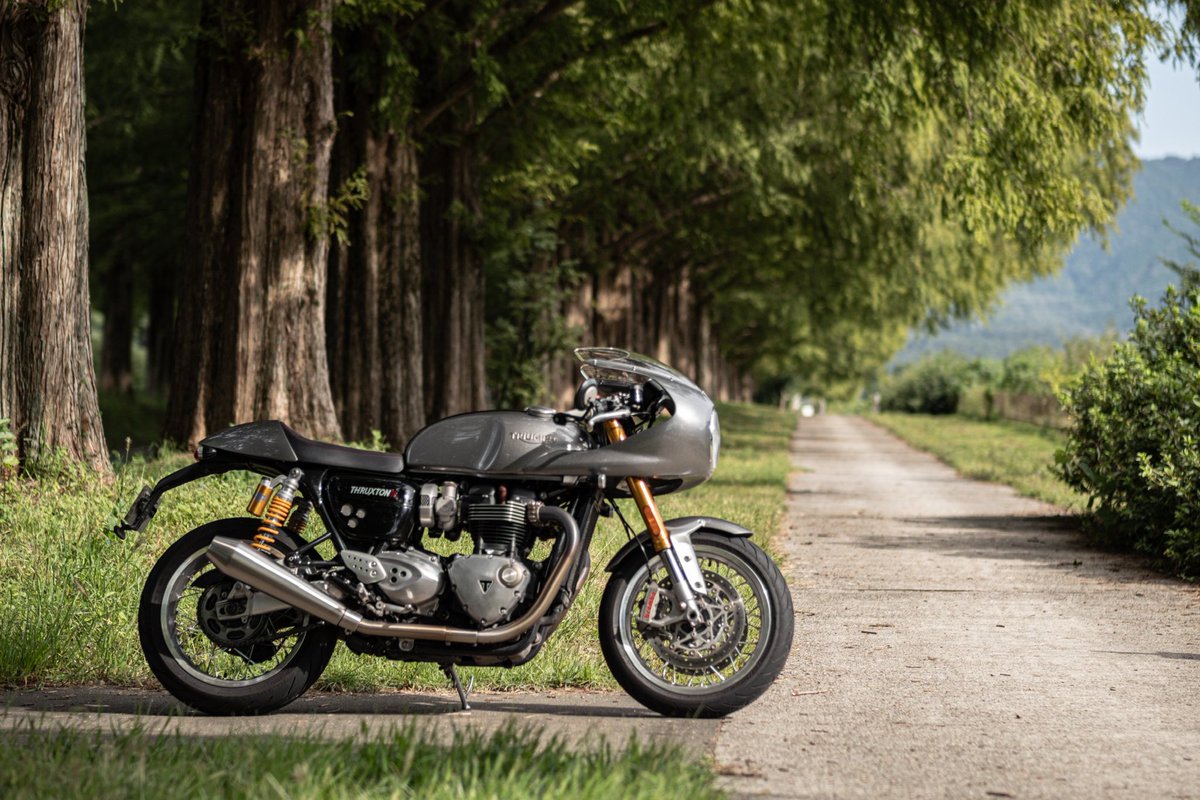 せーや🇬🇧 on X