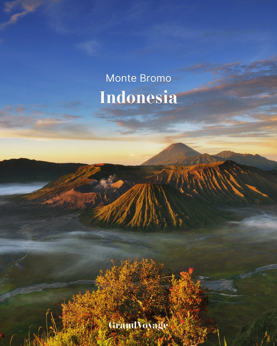 🌅 Amaneceres que valen cada desvelo:

✨ Angkor Wat, Sahara, Machu Picchu, Monte Bromo...
Luz, silencio y paisajes que parecen de otro mundo.

📌 ¿Dónde vivirías tu próximo amanecer?