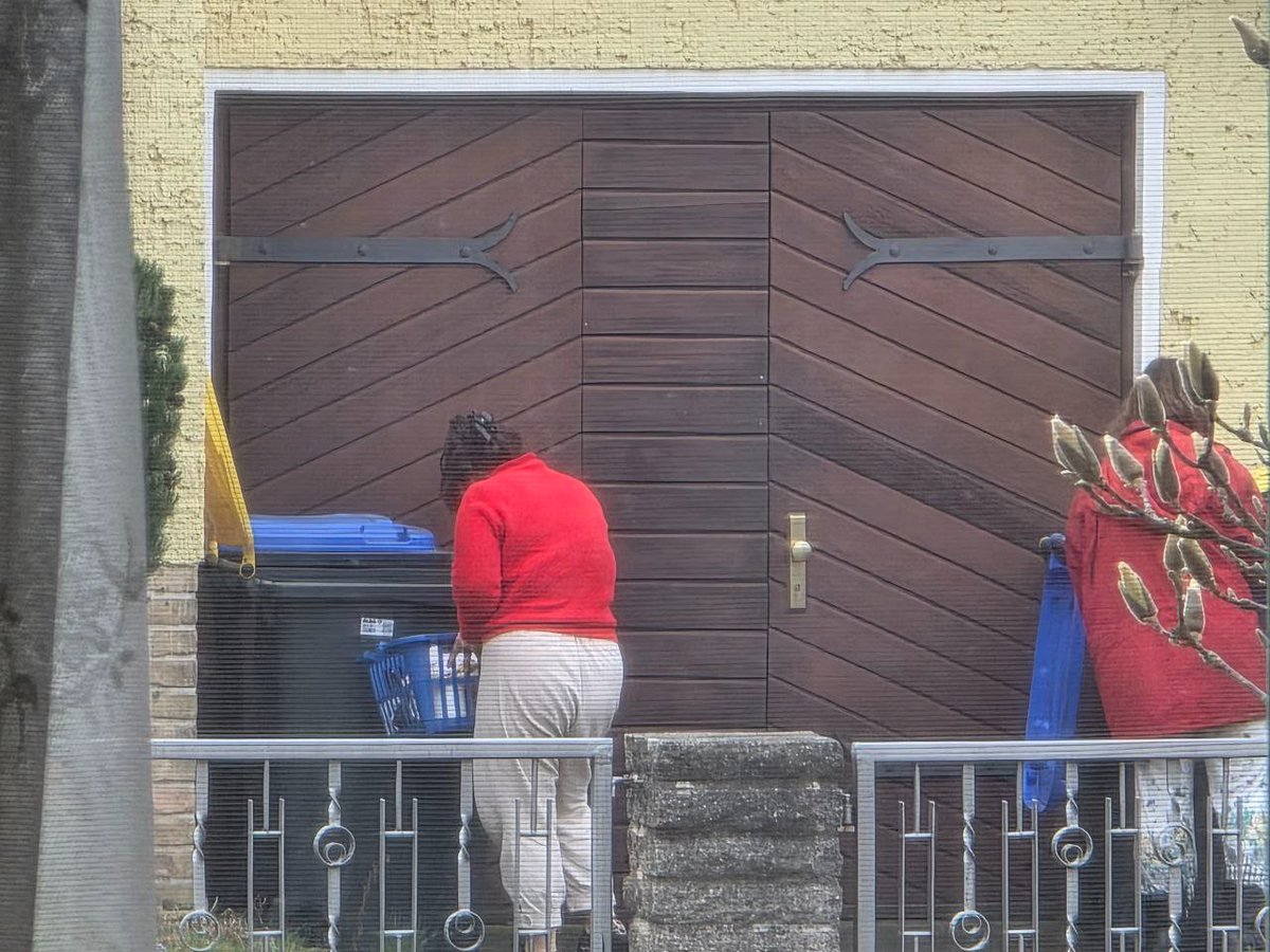 #Stadtbild der Straße, in der ich einst aufgewachsen bin.
Wühlen in den Mülltonnen der Nachbarn.