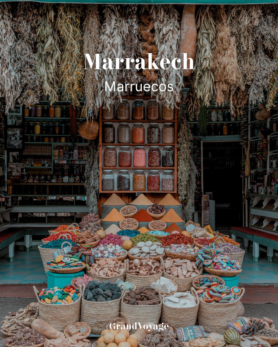 🏙️ Ciudades que enamoran más allá de sus monumentos:

✨ Brujas, Kioto, Dubrovnik, Lucerna, Cuzco, Salzburgo, Marrakech…
Historia, cultura y belleza en cada rincón.

📌 ¿Cuál sumarías a tu lista de próximos viajes?