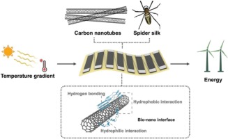 clliu0721's tweet photo. Our paper entitled "Morphology-engineered spider silk–carbon nanotube composites for high-performance and sustainable thermoelectric energy harvesting" has been published in Chem. Eng. J. Congratulations for spider man Chih-Wei!
https://t.co/0WKqobkdSq https://t.co/RCVB2vd1dX