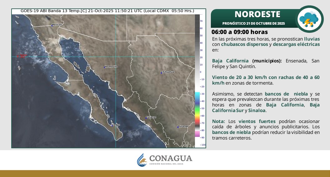 conagua_clima's tweet image. ☔️⛈️ En entidades del noroeste de #México, además de la #PenínsulaDeYucatán, se pronostican #Lluvias y #Chubascos durante las próximas tres horas.

🤓 Más información en las imágenes ⬇️
