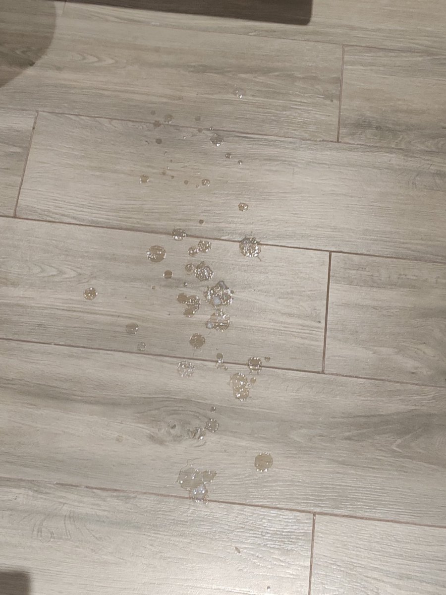 哈…地上的水水不是我的。可能他真的爽到了。轻轻打都哼哼唧唧的人，最后一直叫我不要停，再重点！哈，这种一直给反馈的贝贝其实脆皮一些也很爽。他虽然扛不住我几下，但从来不说不打了，快结束吧。作为他的好爸爸我自然也是要给他一些回馈的，比如给他刮个毛，手打菊花让我手打的人真实越来越少了。