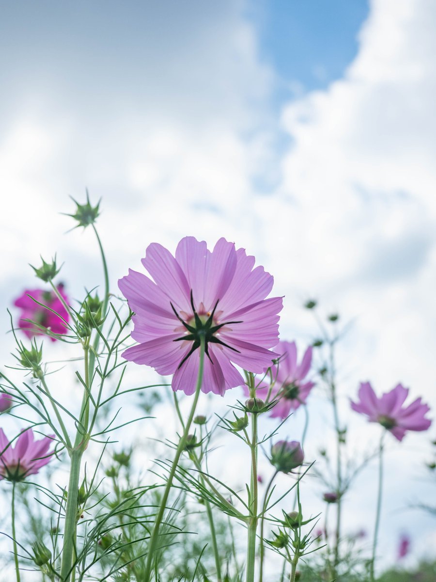 Sページ♡⃜ ayata☻ on X