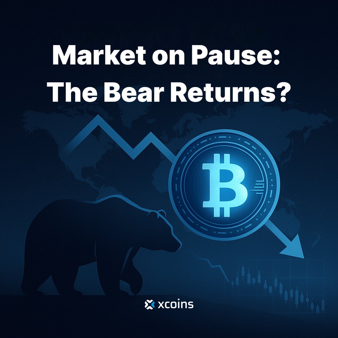 🚨 Next Bear Market Alert According to analyst Willy Woo, the next crypto  downturn may be driven not by Bitcoin halvings or money-supply shifts but  by a traditional business-cycle recession. 🧠 Xcoins