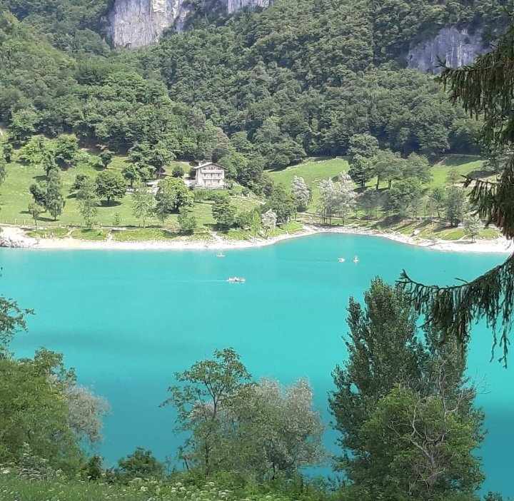 #LagoDiTenno
Diamo un po di colore a questo pomeriggio grigio con un lago del Trentino molto bello da visitare 🩵🩵
Foto mia 📷😍