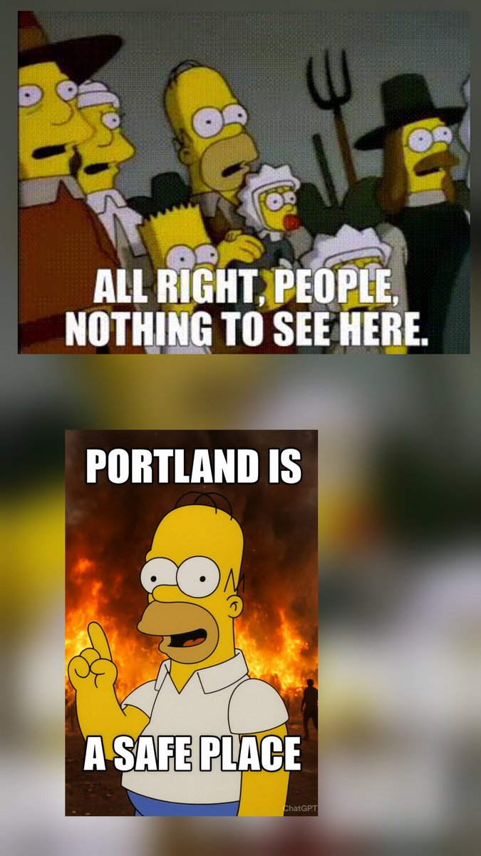 Portland, Chicago, LA, NY, Minneapolis, Houston, and others. It is time to send in active duty to reestablish law and order, hold the criminals accountable, stomp out the terrorists, and get the fkn illegals out of this country.
