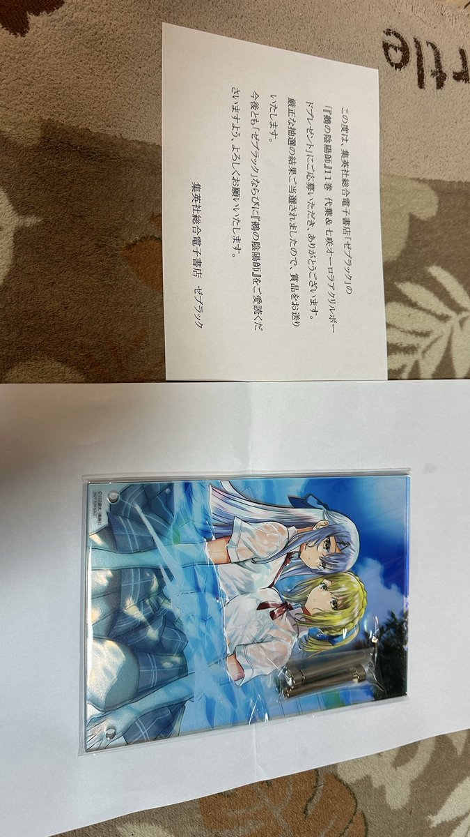 『鵺の陰陽師』11巻 代葉&七咲オーロラアクリルボード　当選　非売品　抽選 鵺の陰陽師』11巻 代葉&七咲オーロラアクリルボード 当選 非売品 抽選